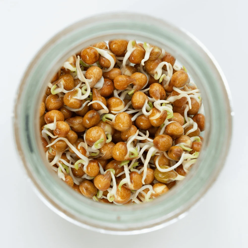 Organic Pea 5 Organic Pea - Image 3