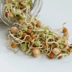 Organic Stir Fry -Kingsseeds Store S7010 2