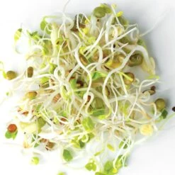 Organic Sweet & Spicy