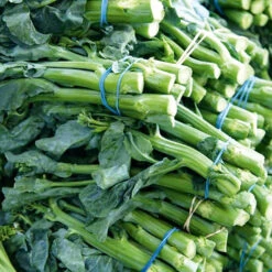 Broccoli Chinese Gai Lan