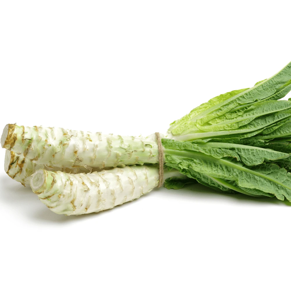 Celtuce 4 Celtuce - Image 2