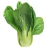 Pak Choi Green Ace F1 -Kingsseeds Store V8019 1 1ed7700a 93ce 488b 9c05 a8cb5ff1a823