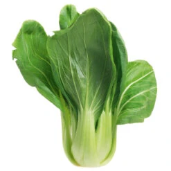 Pak Choi Green Ace F1