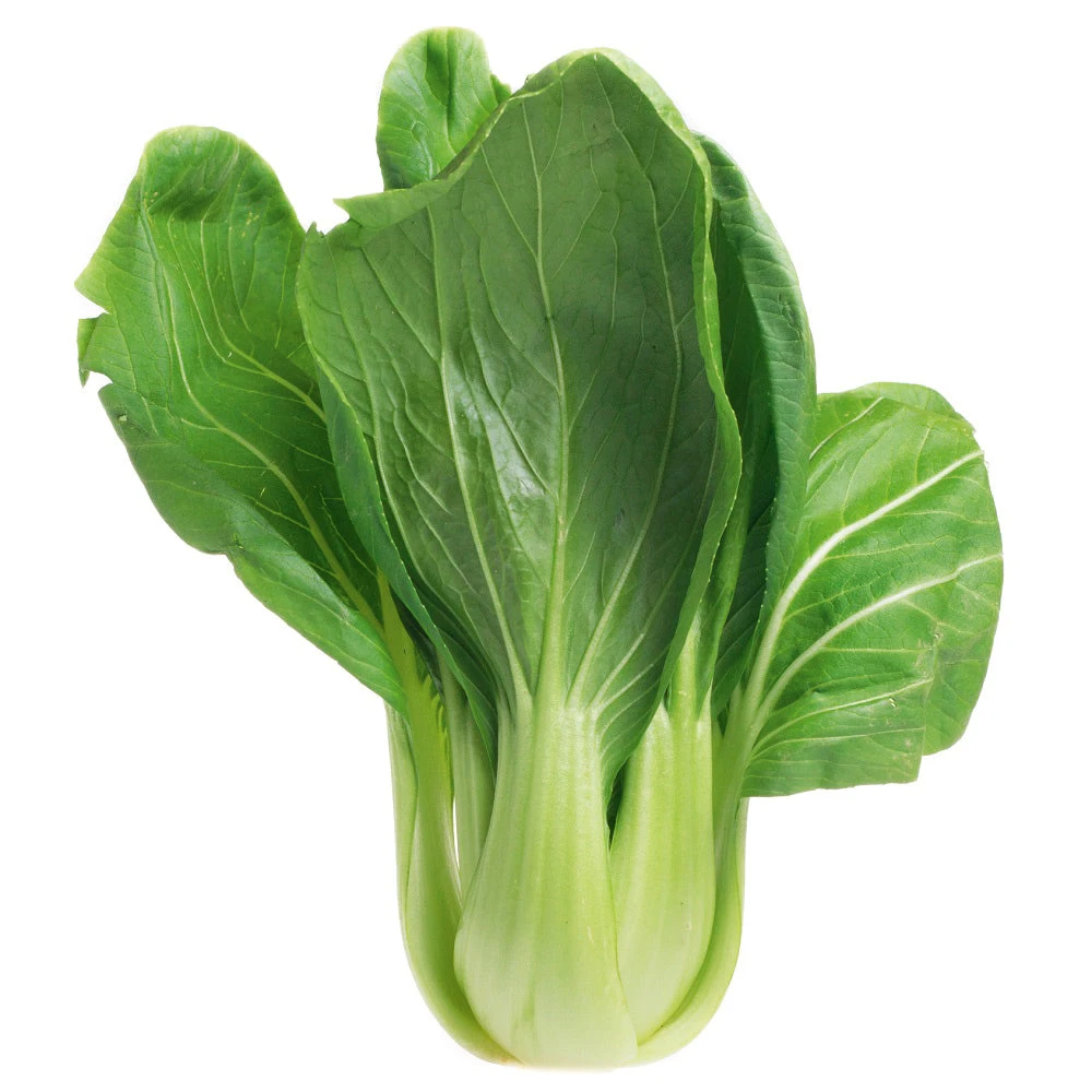 Pak Choi Green Ace F1 3 Pak Choi Green Ace F1