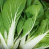 Pak Choi White Flash F1 -Kingsseeds Store V8023 1 72ed3ced aa9e 4000 b9b4 ca3a69ed5cfe