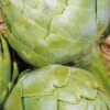 Artichoke Imperial Star F1 2 Artichoke Imperial Star F1 -Kingsseeds Store V8029 1 eb480a6e a6d5 42f5 8421 bffb79aef970