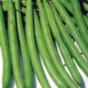 Bean Dwarf Fin De Bagnols -Kingsseeds Store V8043 1 1e7806a5 0aef 46aa 8e49 d53ad79ba42b
