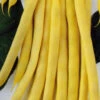 Bean Runner Neekar Golden 2 Bean Runner Neekar Golden -Kingsseeds Store V8053 1 2f674661 2c2b 4742 9755 0c9e9b6ac201
