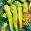 Capsicum Yellow Banana -Kingsseeds Store V8092 1 7f098cc3 42dc 408c 9f87 b95c495def68