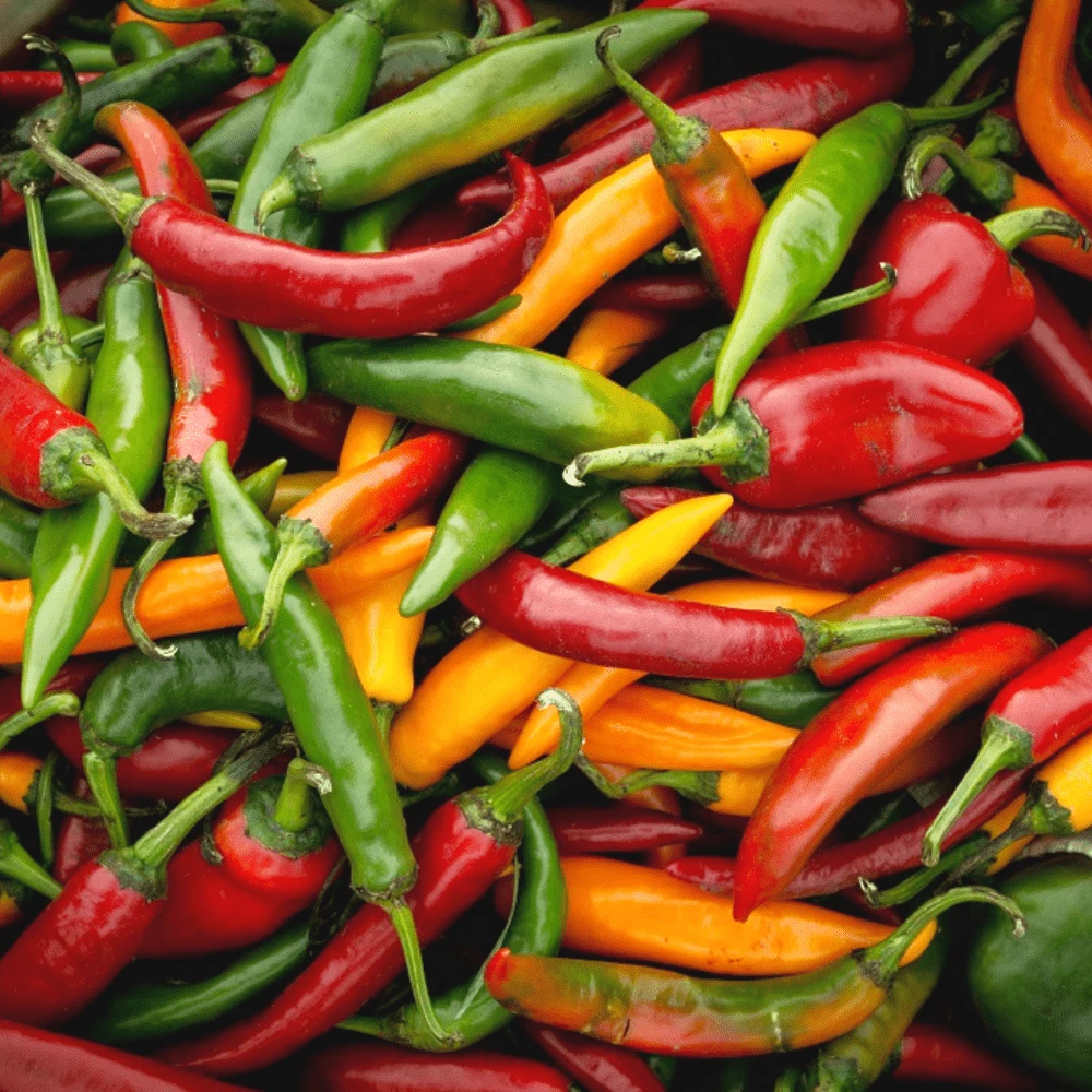 Chilli Spicy Blend 4 Chilli Spicy Blend - Image 2