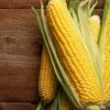 Corn Golden Sweet F1 2 Corn Golden Sweet F1 -Kingsseeds Store V8132 1 b5aaa7c6 df95 49dc 86e2 6b0d2d9a3ebe