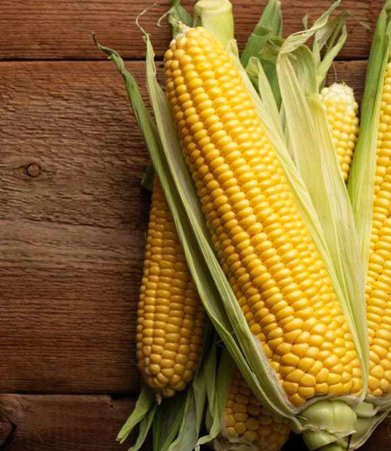 Corn Golden Sweet F1 3 Corn Golden Sweet F1