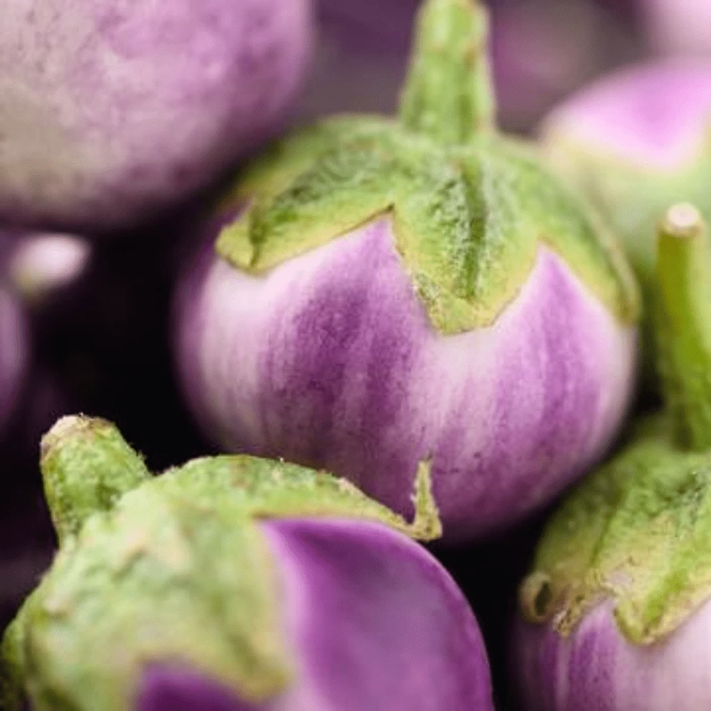 Eggplant Thai Purple F1 4 Eggplant Thai Purple F1 - Image 2