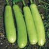 Gourd Asian Loki F1 2 Gourd Asian Loki F1 -Kingsseeds Store V8158 1 fe94bcfb ebeb 4e53 99f5 829a2b2c3f79