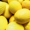 Melon Topaz F1 -Kingsseeds Store V8196 1 43aa8e24 b241 4e1f a28b c480fe47f16c