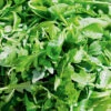 Mesclun Winter Blend 1 Mesclun Winter Blend -Kingsseeds Store V8205 1 63c73b9e 8510 415b aef6 8f375fde2abe