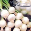 Onion Pearl Drop -Kingsseeds Store V8214 1 05f64e74 974f 4417 9f8e 0b469f85b6a4