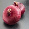 Onion Red Brunswick 1 Onion Red Brunswick -Kingsseeds Store V8216 1 41373639 d486 44c5 b13c 7f2799205c0d