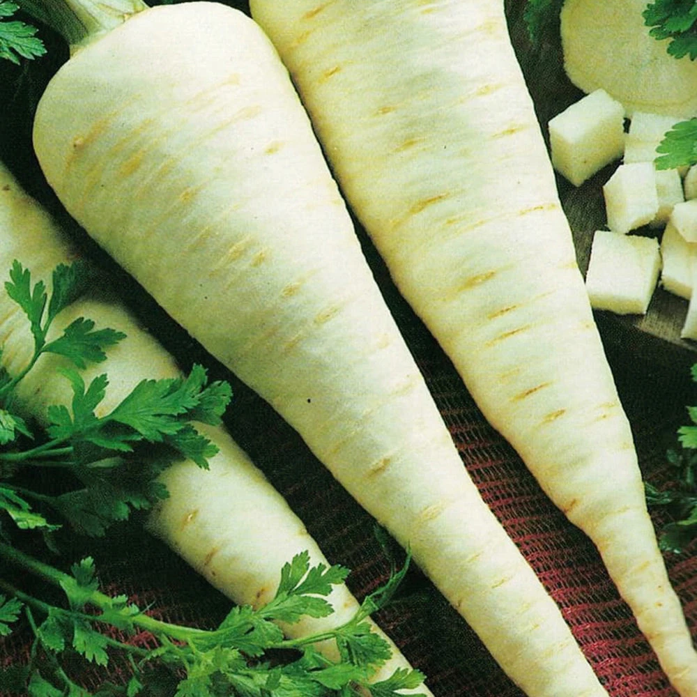 Parsley Bartowich 3 Parsley Bartowich