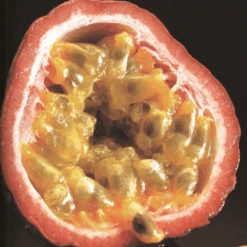 Passionfruit Large Black -Kingsseeds Store V8227 2 1