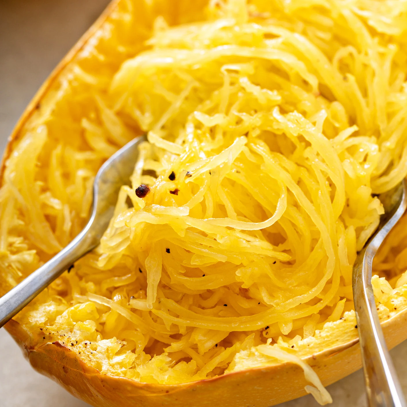 Squash Spaghetti 4 Squash Spaghetti - Image 2