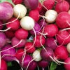 Radish Easter Egg 1 Radish Easter Egg -Kingsseeds Store V8257 1 0df34af7 9c50 4930 886e 470786c170f2