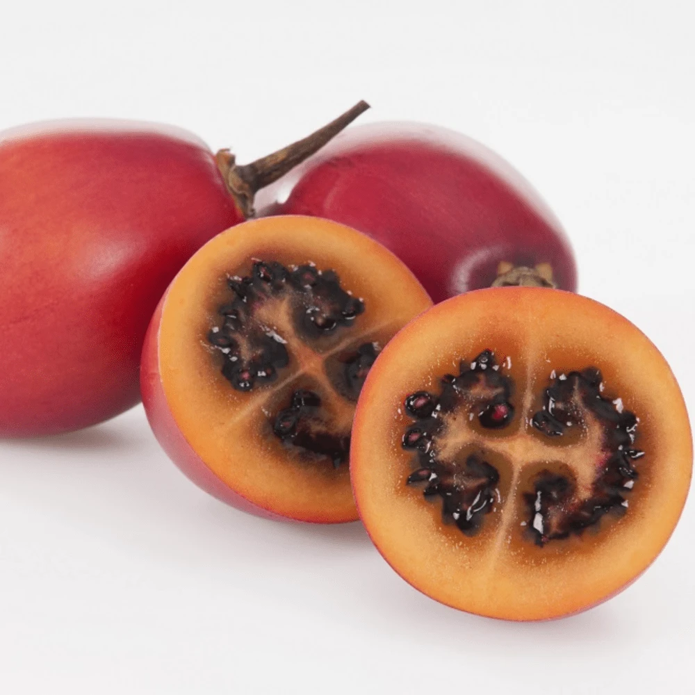 Tamarillo Large Red 4 Tamarillo Large Red - Image 2