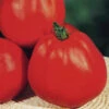 Tomato Albenga Oxheart -Kingsseeds Store V8298 1 75721542 f9f4 4391 9cd8 b0b261306eb3