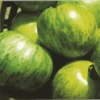 Tomato Green Zebra -Kingsseeds Store V8311 1