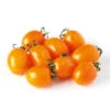 Tomato Golden Sweet F1 -Kingsseeds Store V8323 1 d72b89c2 4472 44d1 95a5 919b718fbc81