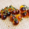 Tomato Indigo Gold Berries -Kingsseeds Store V8325 1 7dbf1c85 f4b9 4a6e a71b 54ddb89d8d5c