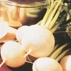 Turnip Tokyo White Cross F1