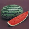 Watermelon Sweet Red F1 -Kingsseeds Store V8352 1 3bf805ad 39b8 4108 b257 5b340724566a