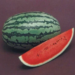 Watermelon Sweet Red F1