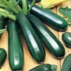 Zucchini Black Coral F1 -Kingsseeds Store V8353 1 0356270e 8f20 41d9 ada7 87b6adc336ba