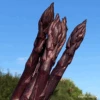 Asparagus Pacific Purple -Kingsseeds Store V8402 1 1246125c cce3 472d ae22 d08f39aa7802