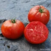 Tomato Delicious 2 Tomato Delicious -Kingsseeds Store V8413 1 a29d7fd9 8b62 4147 9564 cf480c078d47