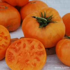 Tomato Kellogg's Breakfast