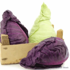 Cabbage Sugarloaf Mix