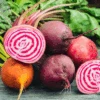 Beetroot Colour Blend